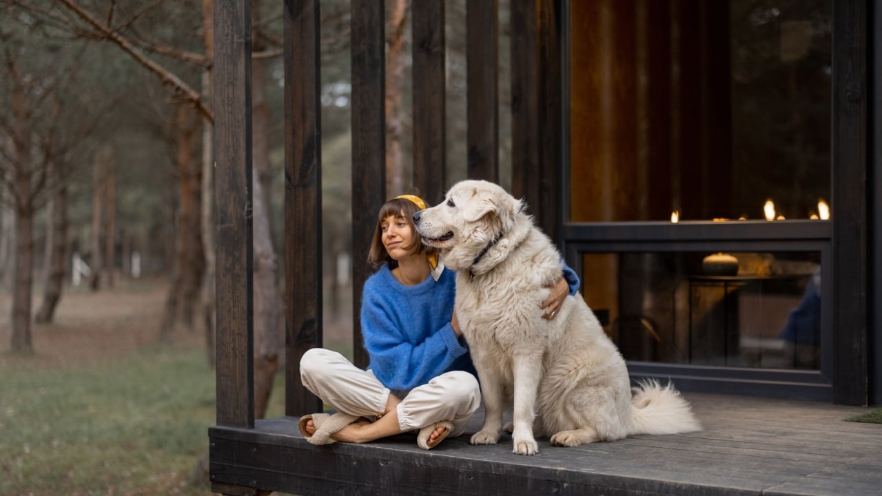 Young woman sits with her dog on porch of a wooden house in pine forest, enjoying nature while resting in cottage at countryside