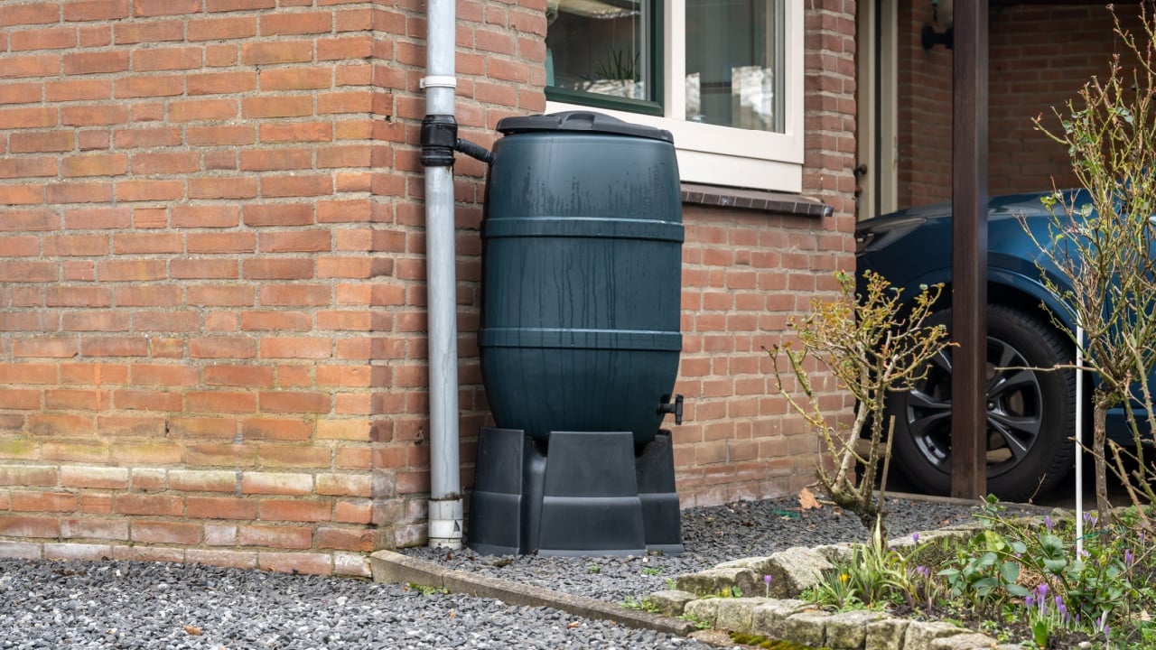 Rain barrel in front of a modern house, rainwater tank to collect rainwater and reuse it in the garden