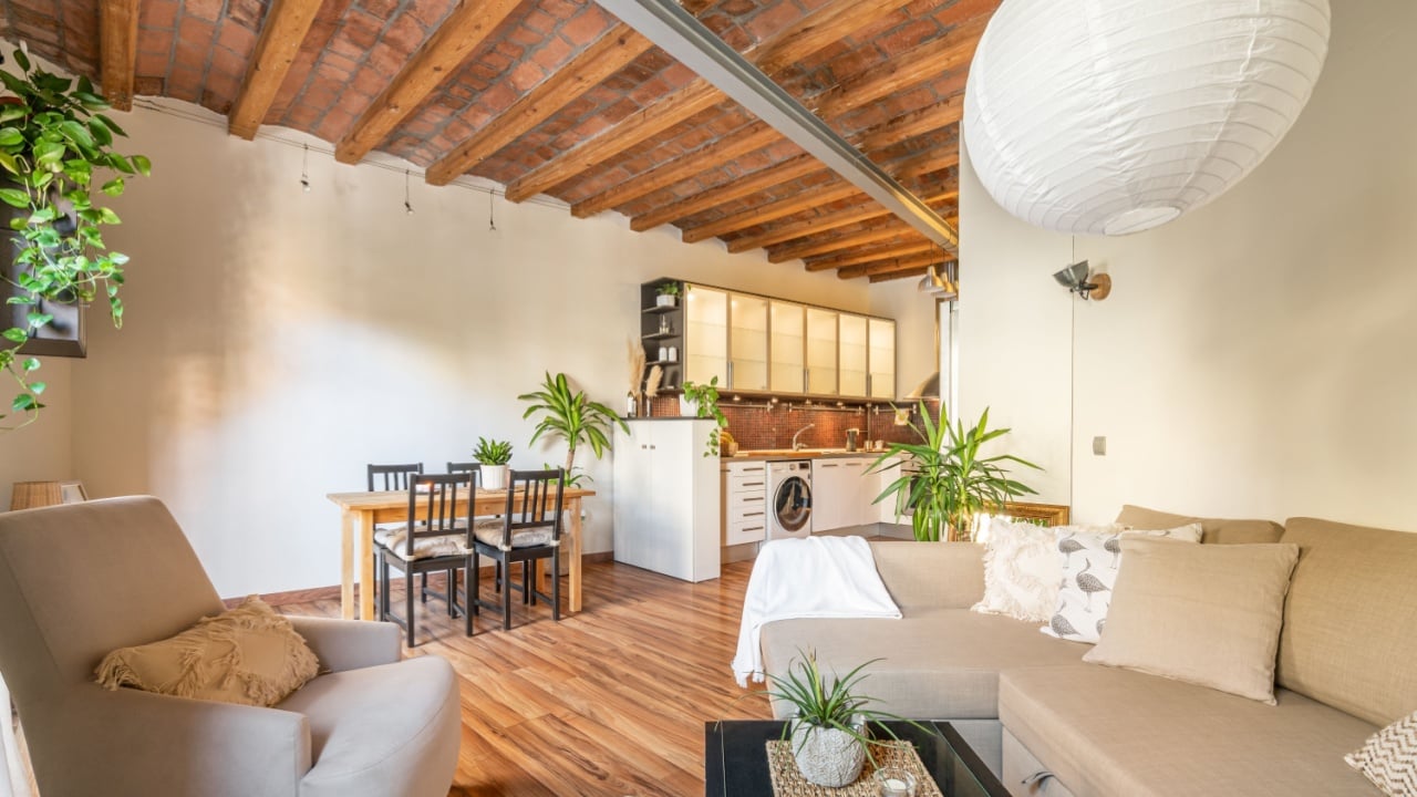 Cozy living area overlooking kitchen corner with dining table and glass-paneled cabinetry and wood-beamed ceiling with plants and lamps. Concept of European eclectic design