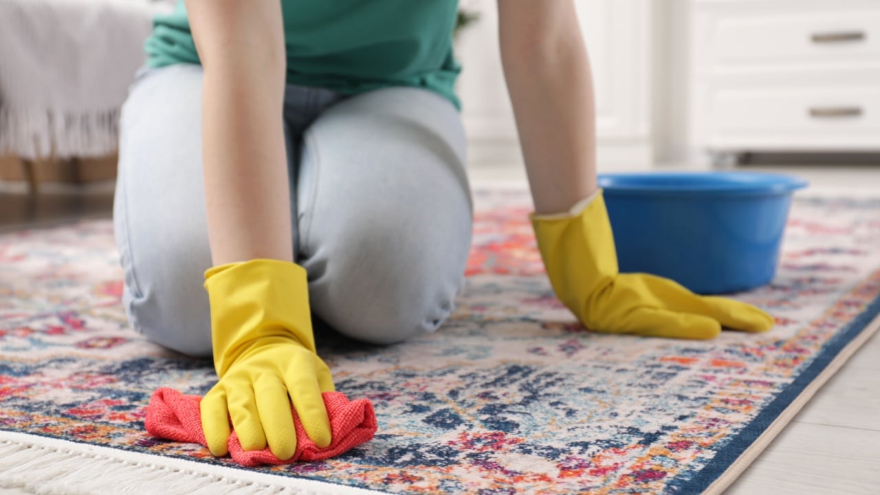 Woman in rubber gloves cleaning carpet with rag indoors, closeup
