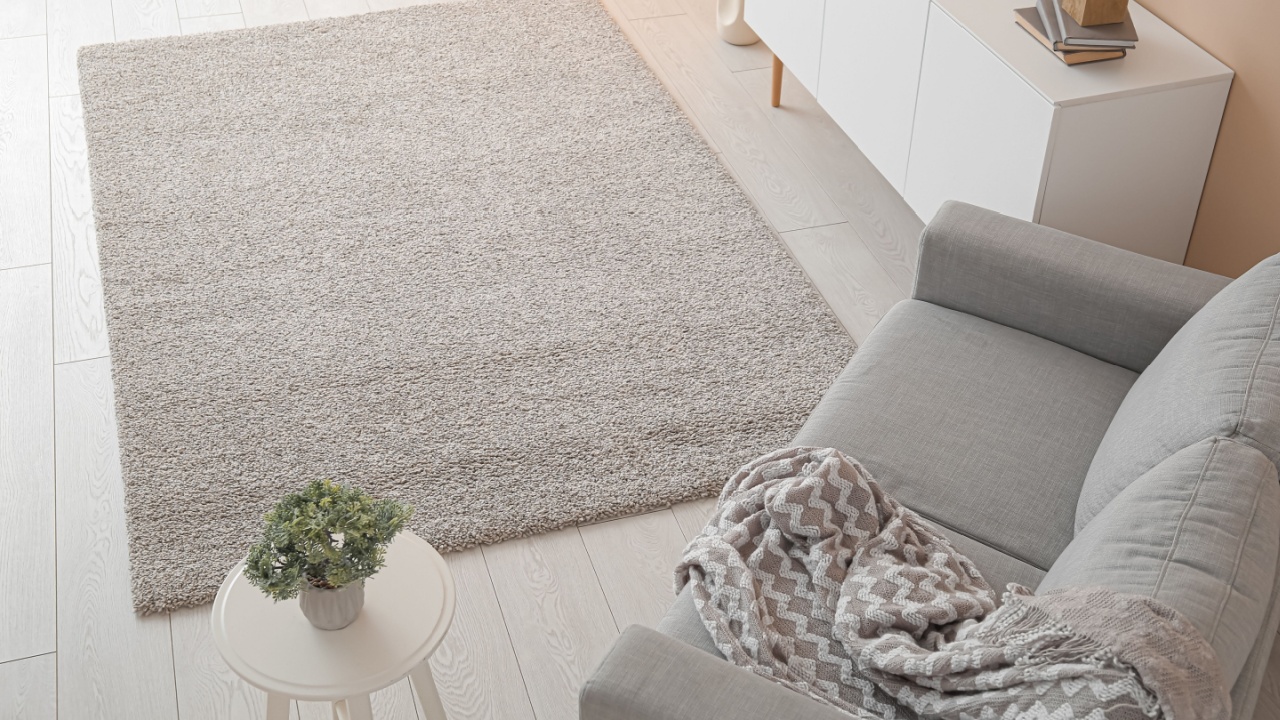 Interior of stylish living room with grey sofa and soft carpet