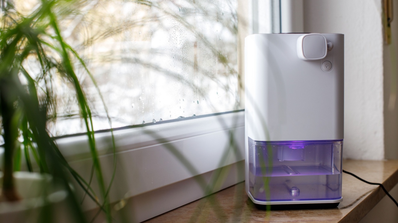 Dehumidifier Moisture Absorber Household Small Indoor