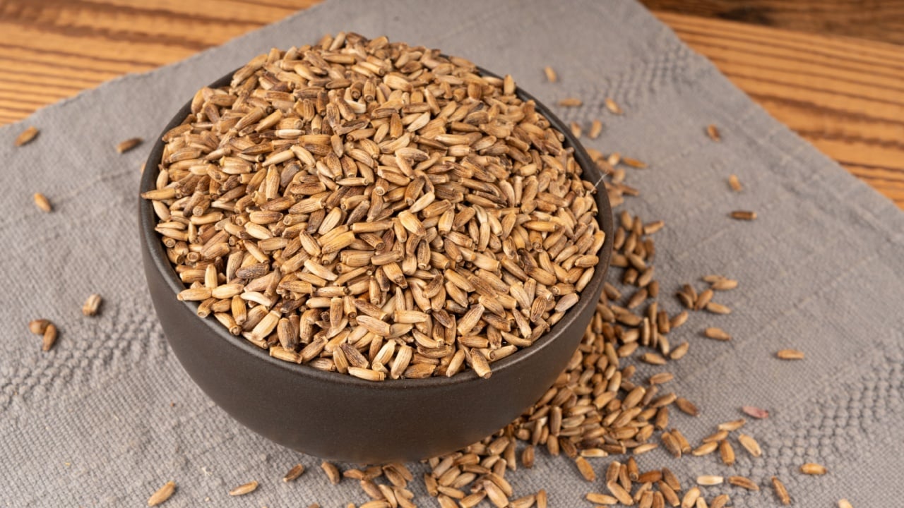 Milk thistle seeds pile, silybum marianum grains, dry blessed milkthistle fruits, variegated thistle kernels on grey background, black bowl, natural organic herb medicine ingredient