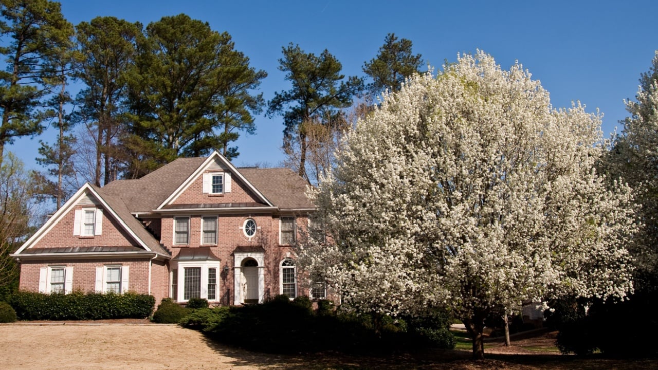 A traditional brick house in spring with a Bradford pear in the yard