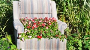 Sofa and flower garden