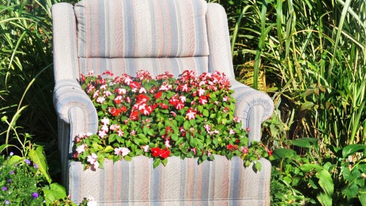18 Items Around the House to Declutter and Repurpose in the Garden