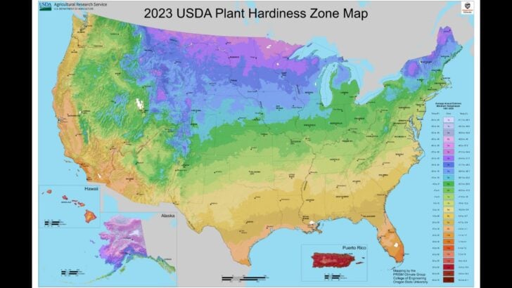 How to Determine Your USDA Plant Hardiness Zone