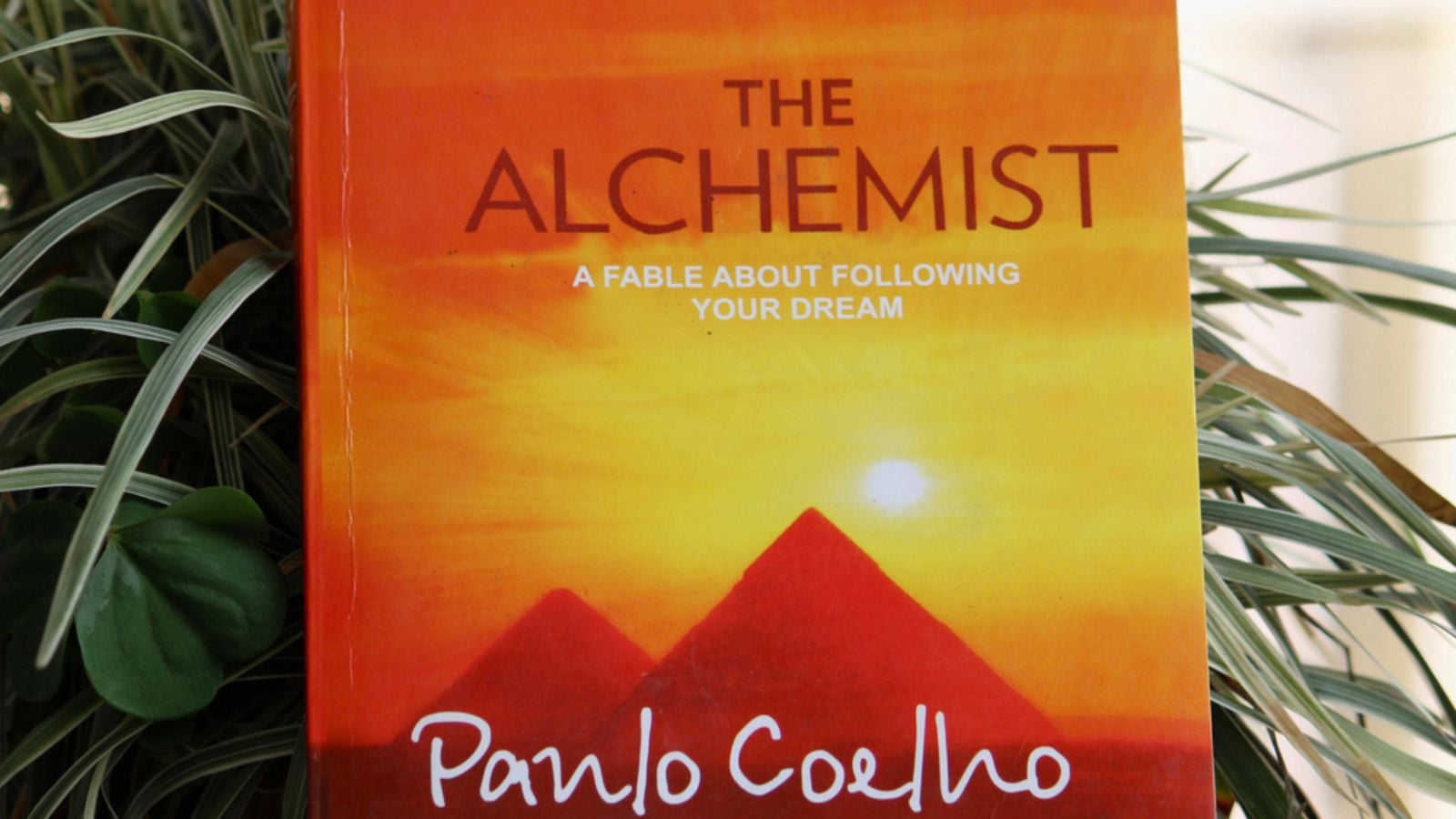 Cover of The Alchemist book by Paulo Coelho in a green grass