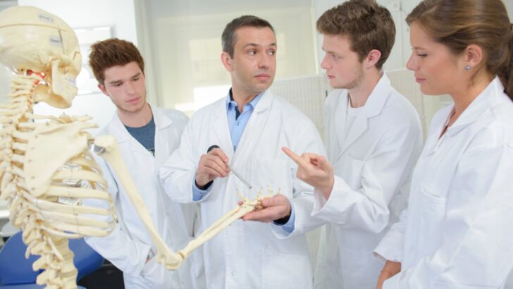 Jobless Skeleton 17 Most Useless College Degrees That Leave Grads Broke And Jobless