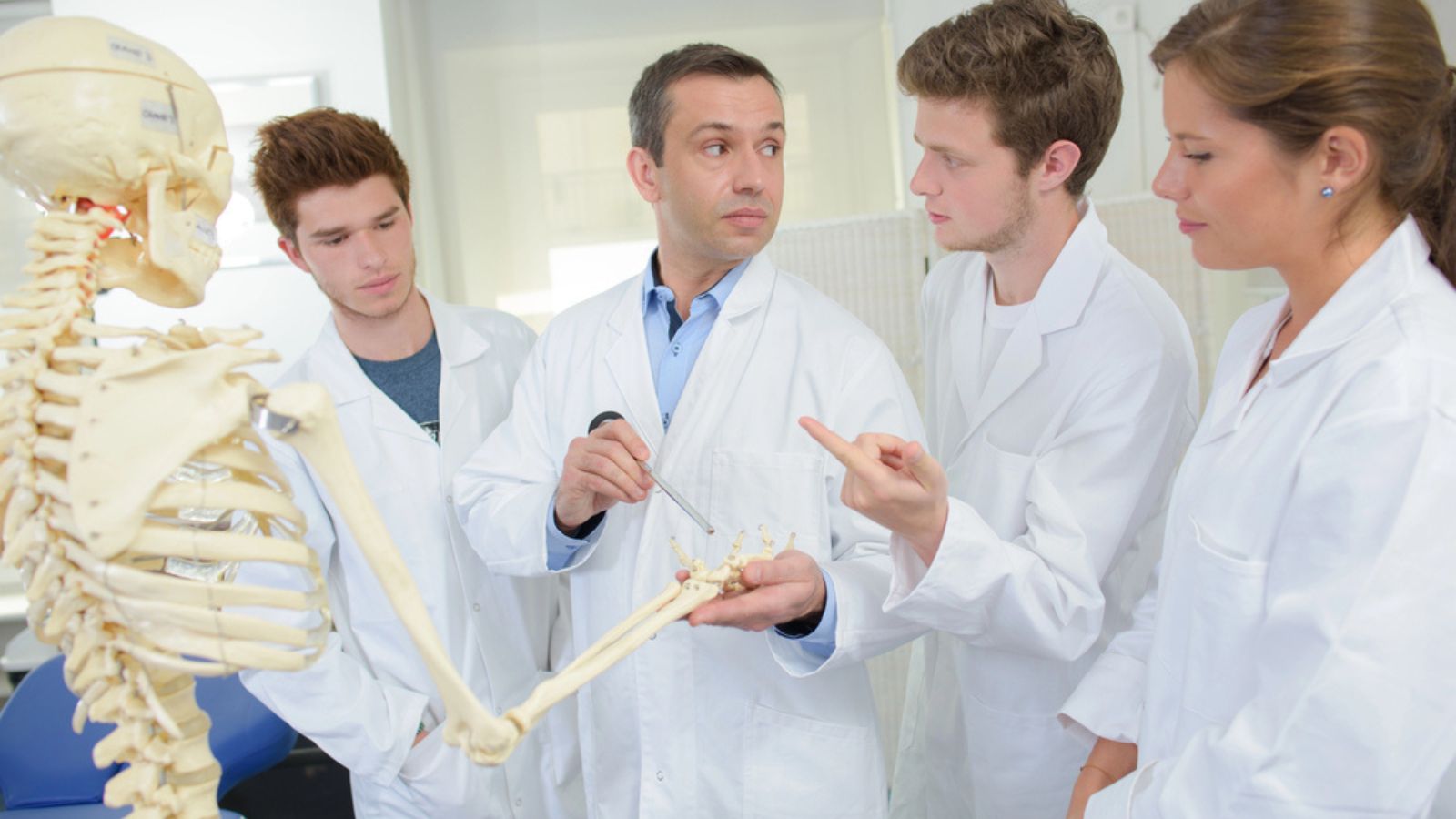 Doctor with students holding hand of skeleton in biology class
