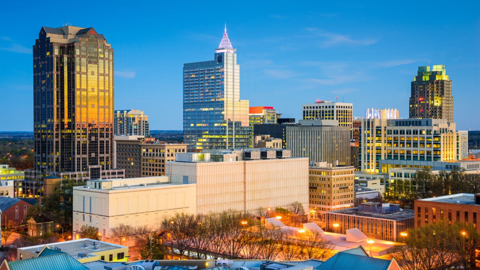 Raleigh, North Carolina Skyline