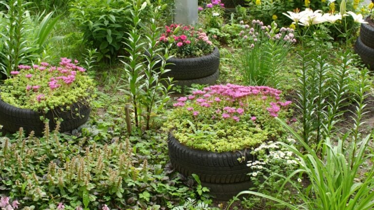 small garden flower bed is old tires