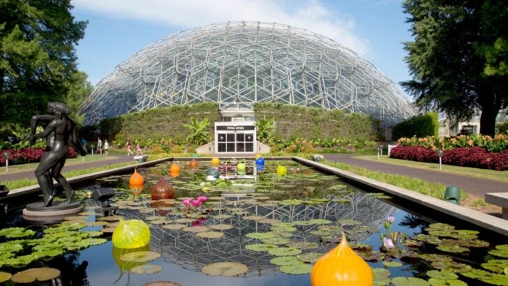 9 Unforgettable U.S. Botanical Gardens Worth Traveling For