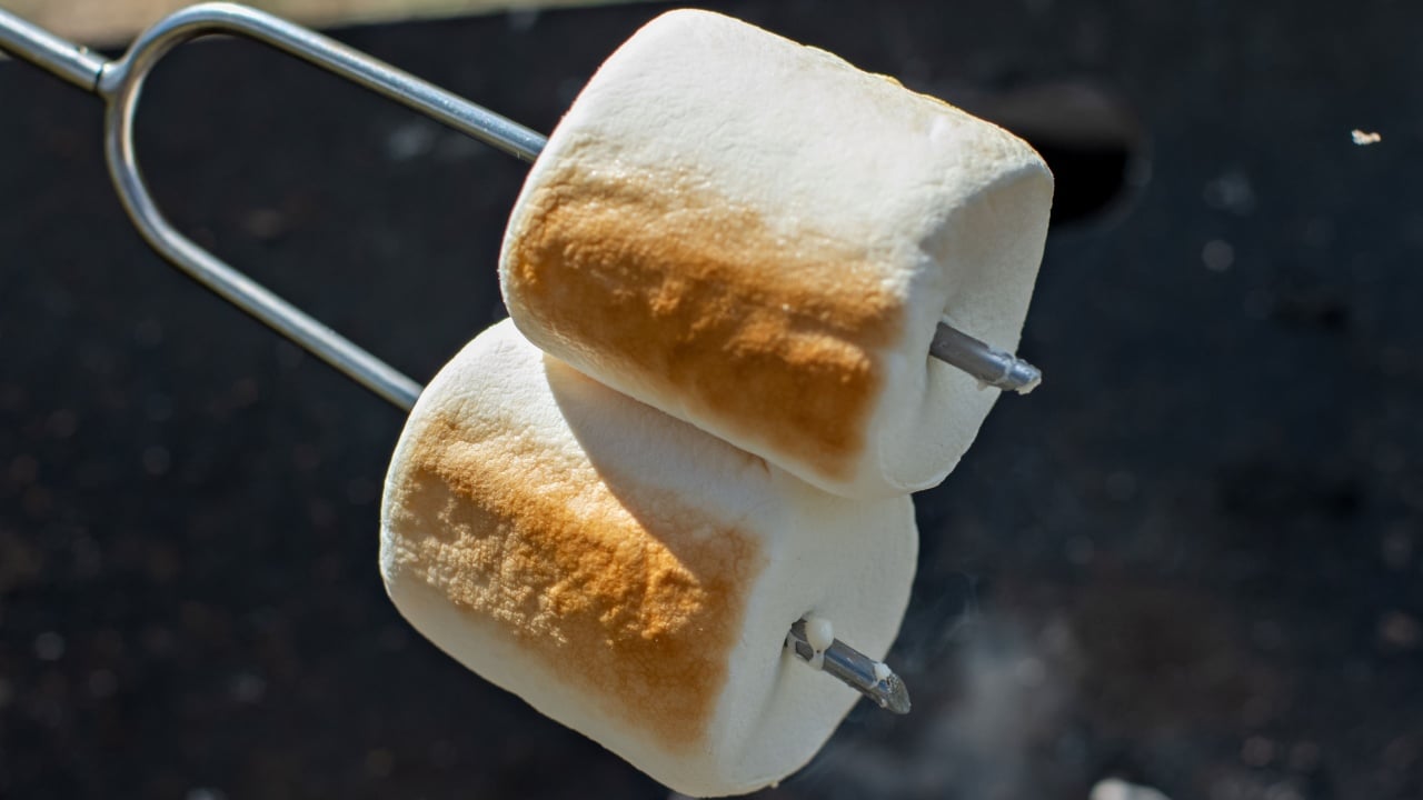 Marshmallow on a stick roasted over a camping fire.