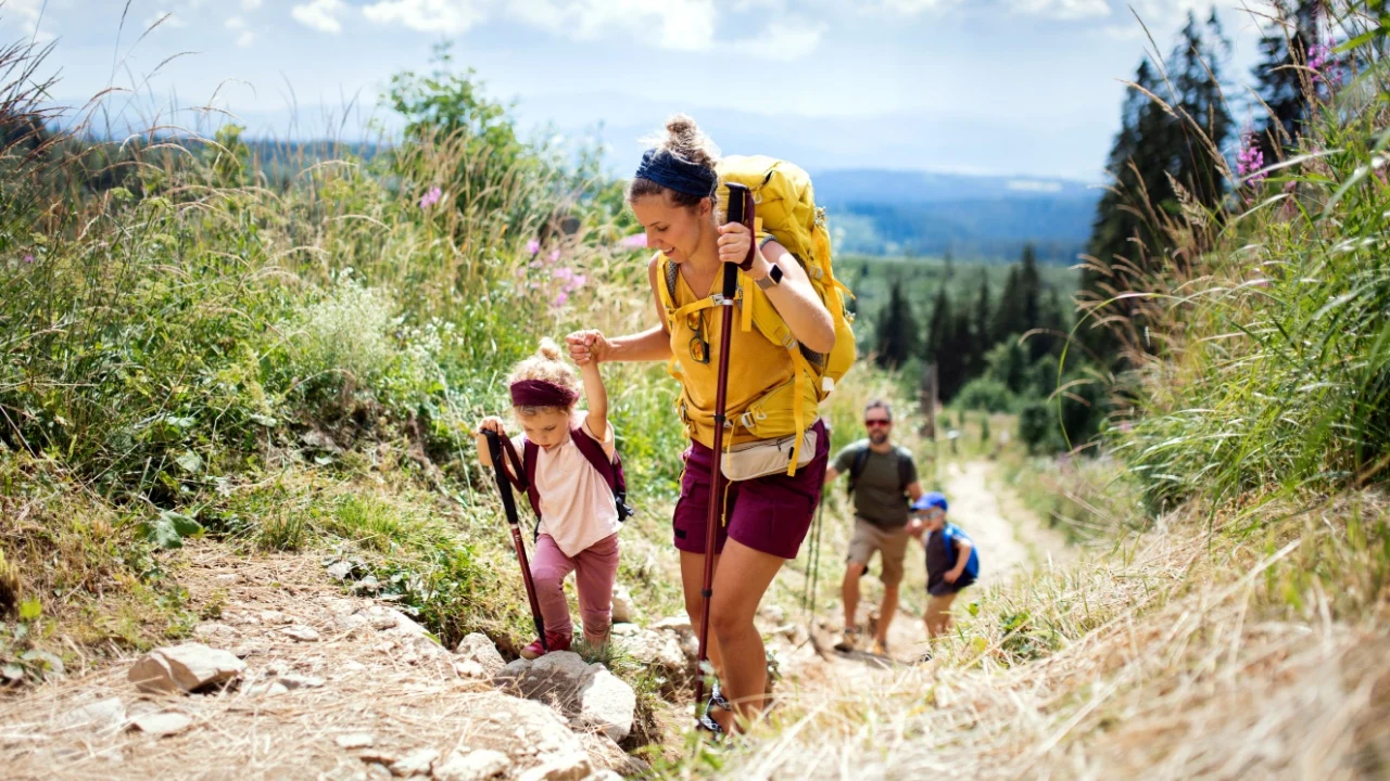 Family with small children hiking outdoors in summer nature, walking in High Tatras.
