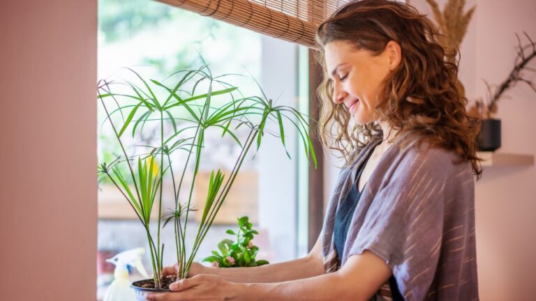 Beautiful happy young woman with indoor plants standing by the window in house
