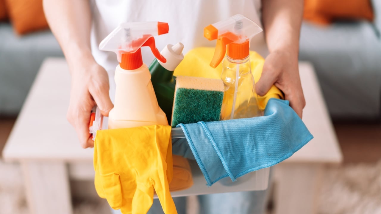 Woman holding in hand cleaning products with rags and gloves in a plastic container.