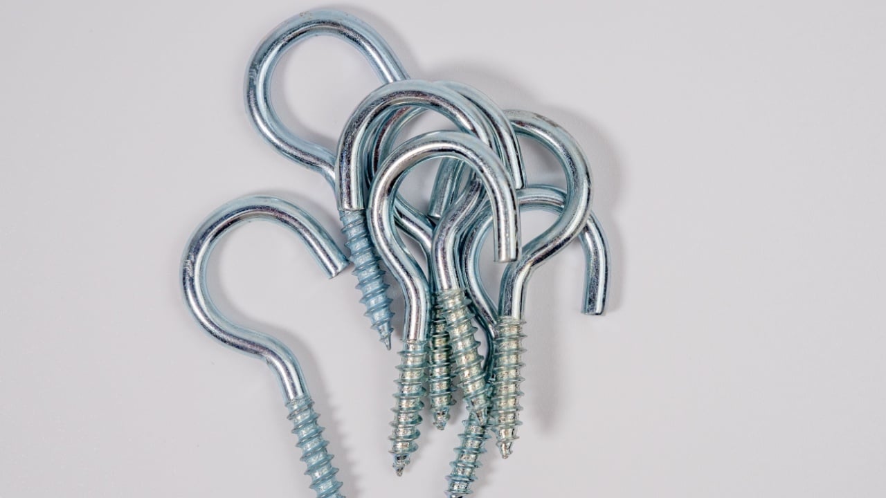 Set of screws with a hook on a white background.