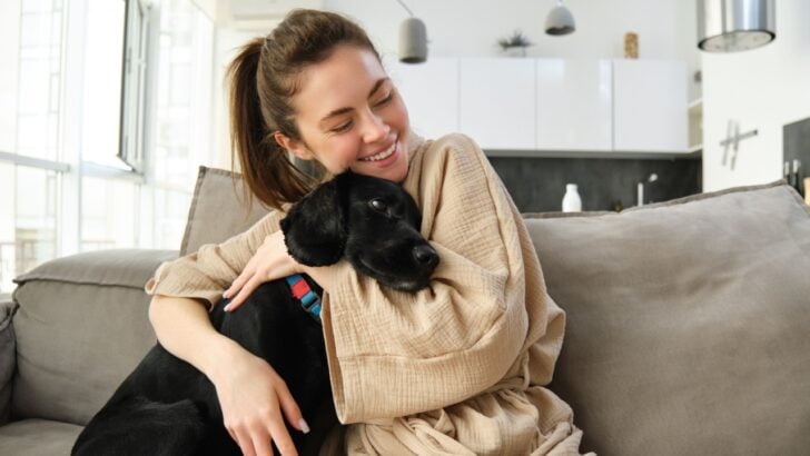 16 Loyal Dog Breeds That Make Our Hearts Melt