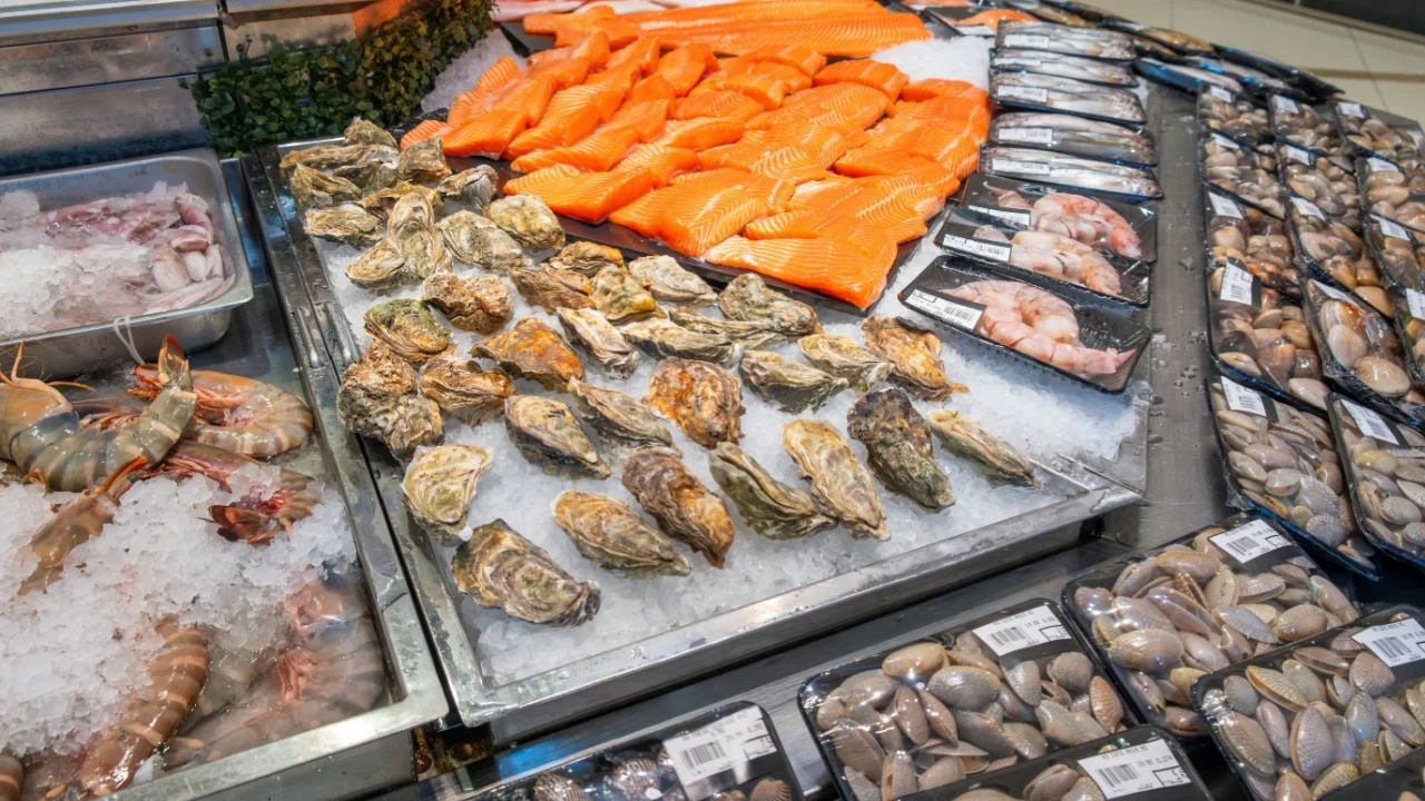 Fresh seafood display with various shrimps, salmon fillet, oysters, clams, shellfish in grocery store. Fresh food on refrigerator shelf with ice in supermarket.