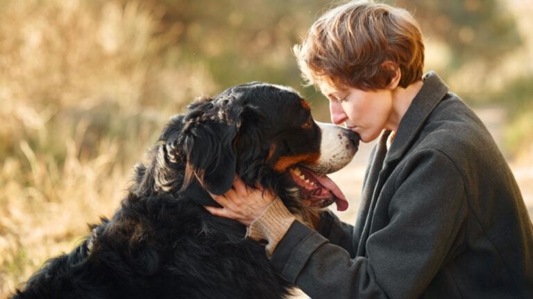 A woman and her Bernese Mountain Dog share a quiet, affectionate moment in a grassy field.