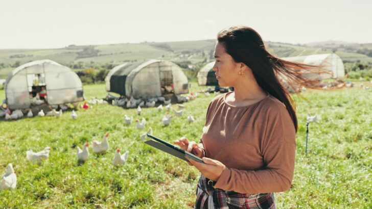 The 3 Biggest Threats Putting the World’s Food Supply at Risk