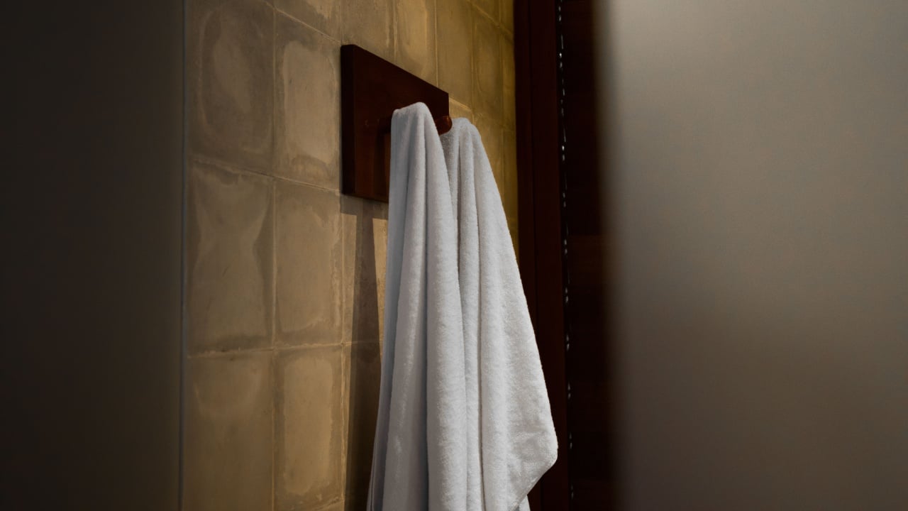 Two Towels Hanging In Fancy Hotel, Moody