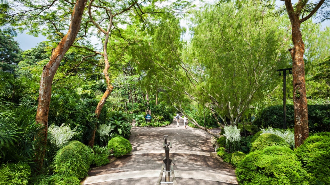 SINGAPORE - OCTOBER 17, 2014: The National Orchid Garden, located within the Singapore Botanic Gardens.