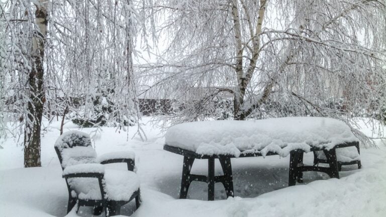 Snow storm in the village