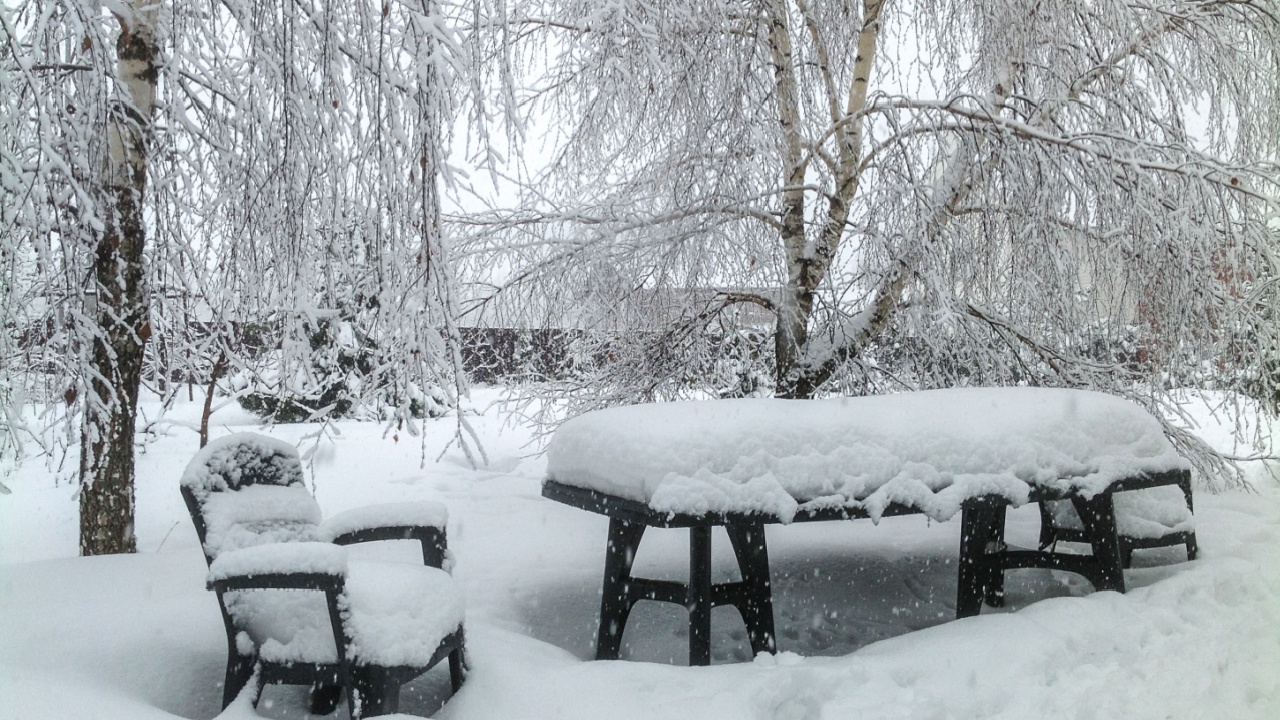 Snow storm in the village