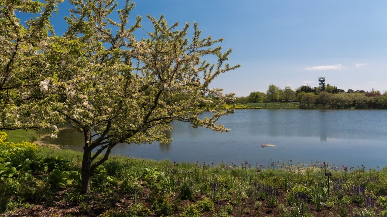 Beautiful lake in a botanic garden in Chicago