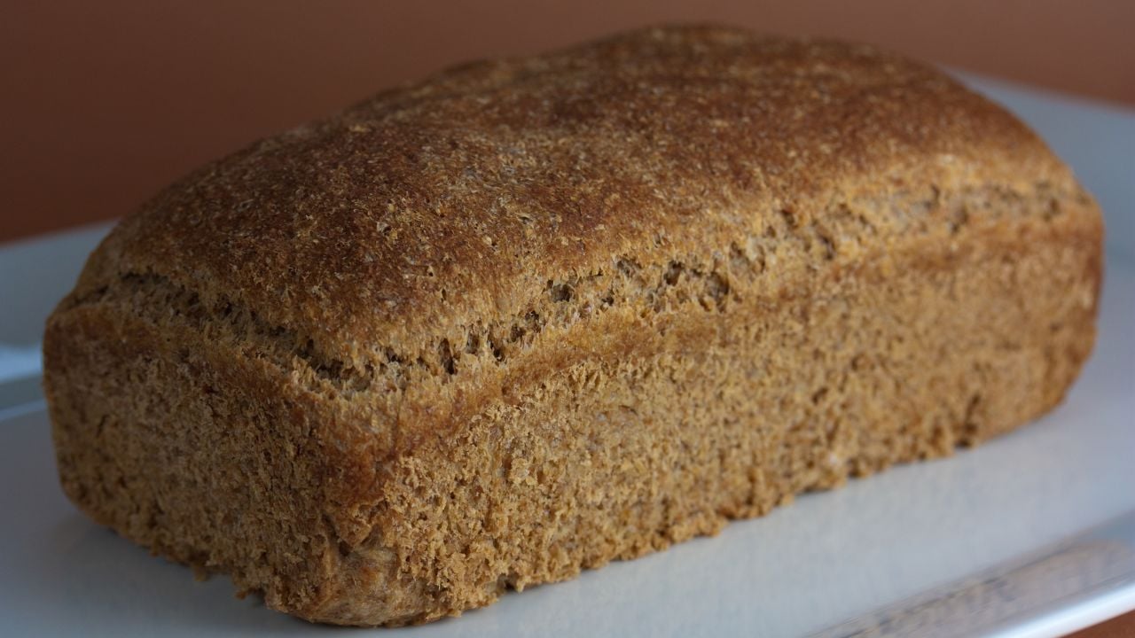 Vegan Flourless Sprouted Wheat Bread