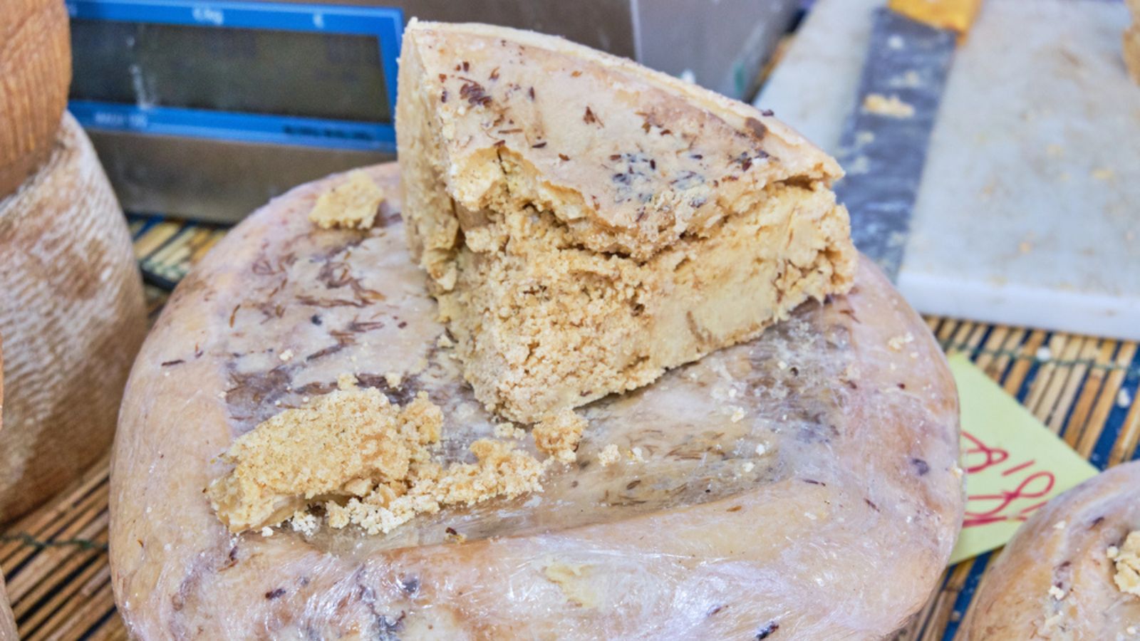 Casu Marzu, sardinian cheese with worms
