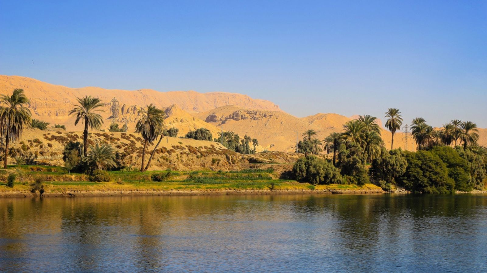 Oasis on the Nile River, Egypt