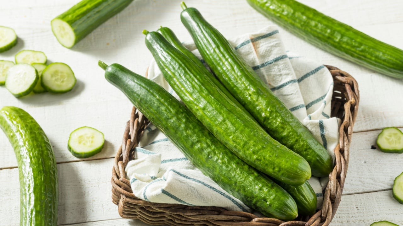 Healthy Organic Green English Cucumbers Ready to Eat