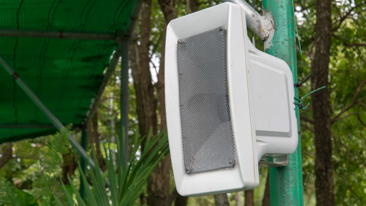 The speaker on the pole.