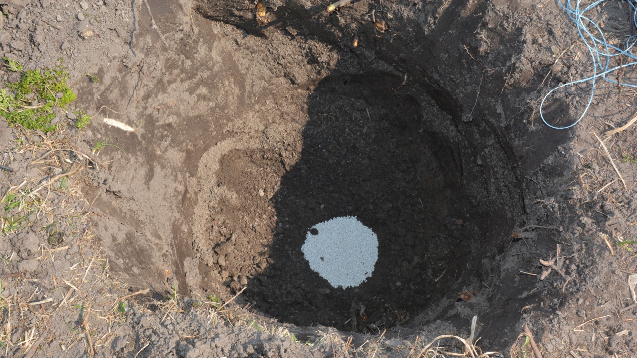Fruit Tree fertilization with compost in digging hole. Ammonium nitrate fertilizer for fruit tree planting.
