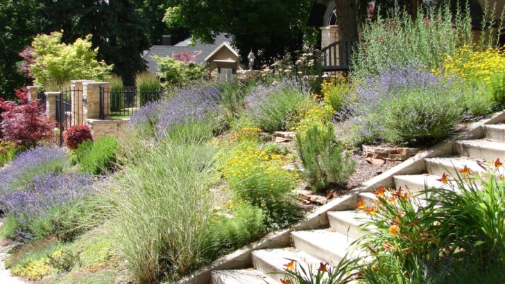 Xeriscaping Is The Water-Saving Yard Secret That’s Putting Hundreds Back in Homeowners’ Pockets Every Year (Here’s How to Start)