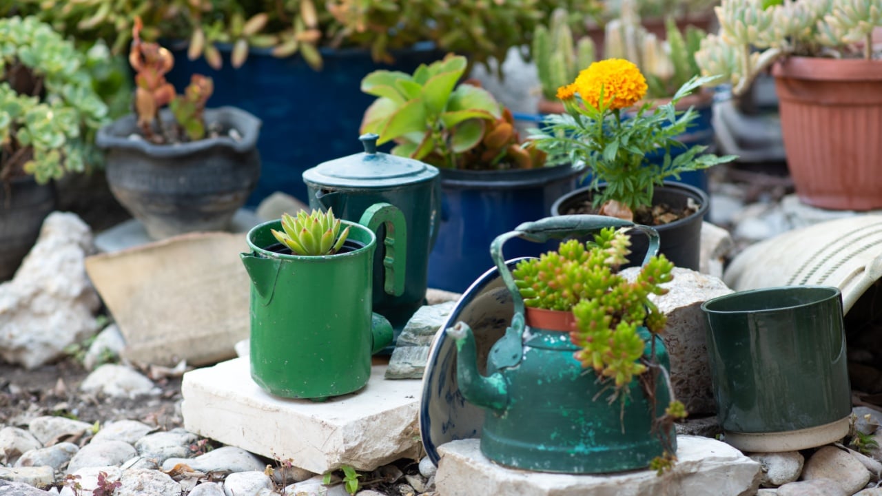 Reused planter ideas. Second-hand kettles, saucepans, old teapots turn into garden flower pots. Recycled garden design and low-waste lifestyle.