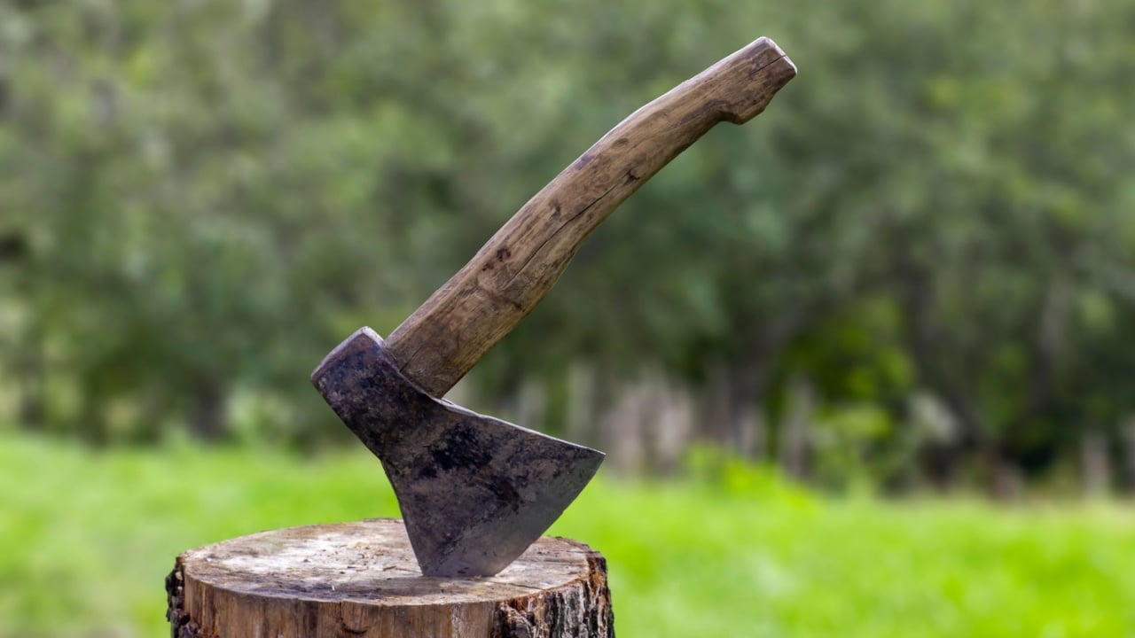 Old rusty axe with wooden handle stuck in the stump. blurred background with pile of wood logs, Large ax sticks out in felled wood of background of forest. Blurred background, sunlight effect