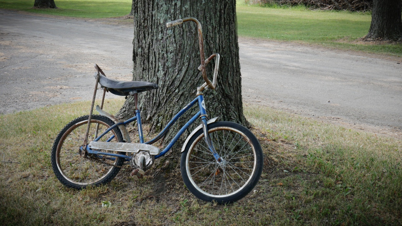 Vintage banana seat rusted blue bike