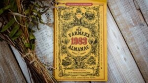 Black Fork, Arkansas, USA- September 1, 2020- A vintage 1983 yellow farmers almanac sitting on top of a table with some dried flowers beside it