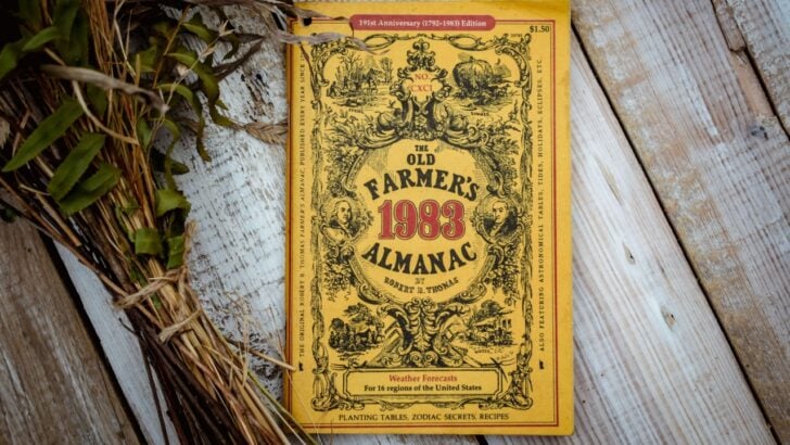 The Old Farmer&rsquo;s Almanac Tricks Your Grandmother Swore By