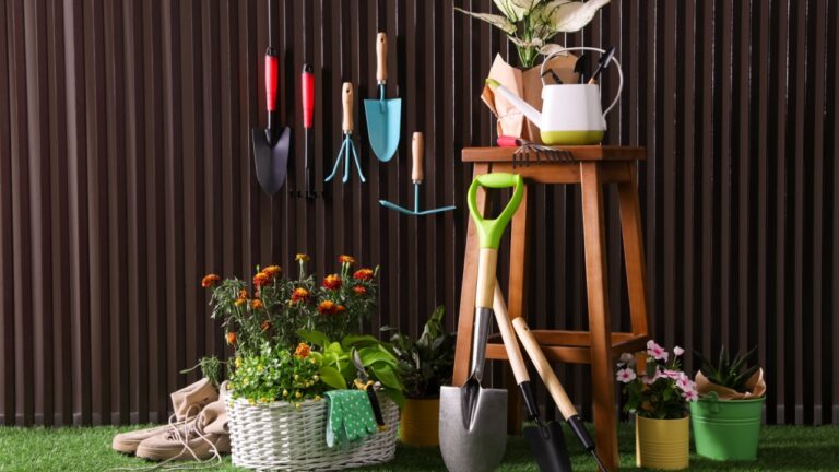 Beautiful plants, gardening tools and accessories on green grass near wood slat wall