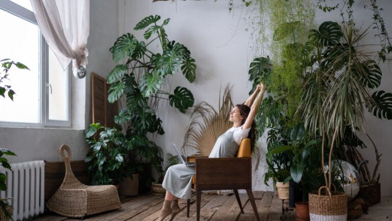 Relaxed freelancer gardener enjoy spending time in home garden with laptop buying new house plant monstera for greenhouse in home office. Florist female entrepreneur with laptop stretching and smiling
