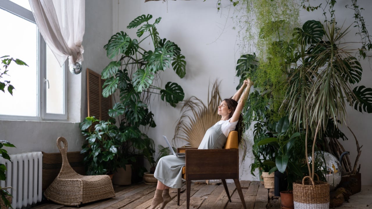 Relaxed freelancer gardener enjoy spending time in home garden with laptop buying new house plant monstera for greenhouse in home office. Florist female entrepreneur with laptop stretching and smiling