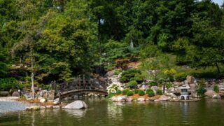 A view of the wooden bridge and lake at Anderson Japanese Gardens on a sunny day, Rockford, Illinois, United States
