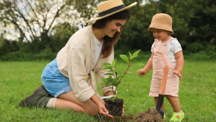 14 Tree Planting Mistakes That Can Ruin Your Investment Before It Takes Root