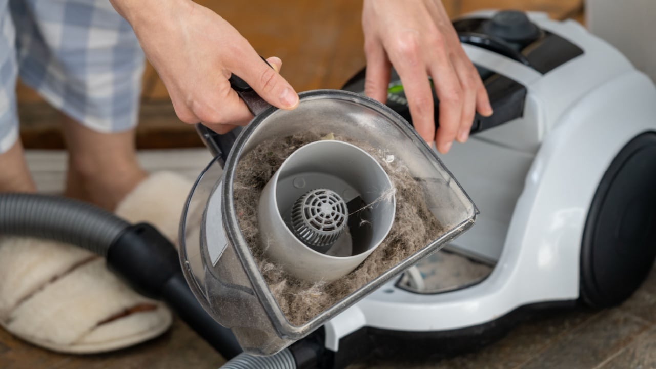 Woman holding household vacuum cleaner container clogged up with wool of domestic animals, fur, hair and dust after an extensive cleaning. Cause of allergies, asthma exacerbation, frequent cleaning.