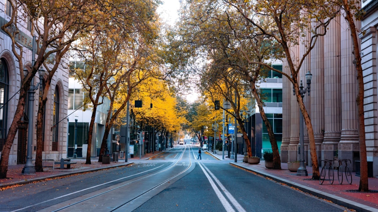 An aerial view of an empty street in downtown on a sunny autumn day with no cars: Portland, Oregon